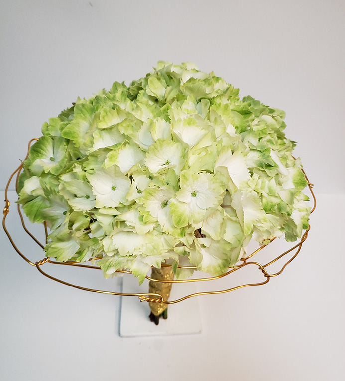 Jet Fresh Flower Distributors