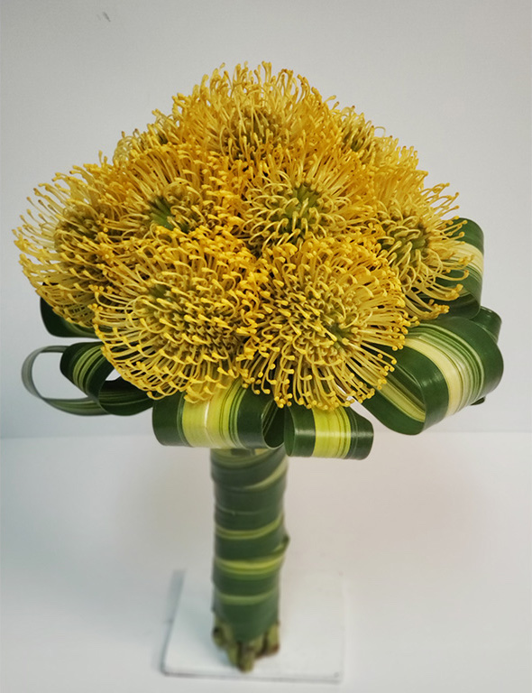 Jet Fresh Flower Distributors