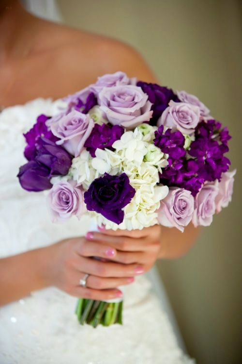 Jet Fresh Flower Distributors