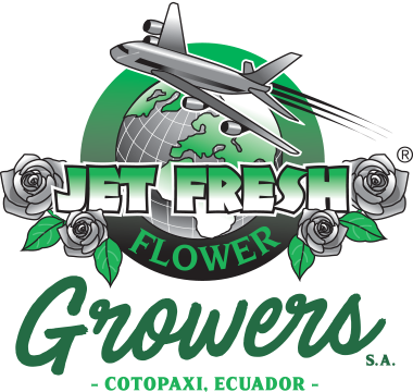 Growers Jet Fresh Flowers