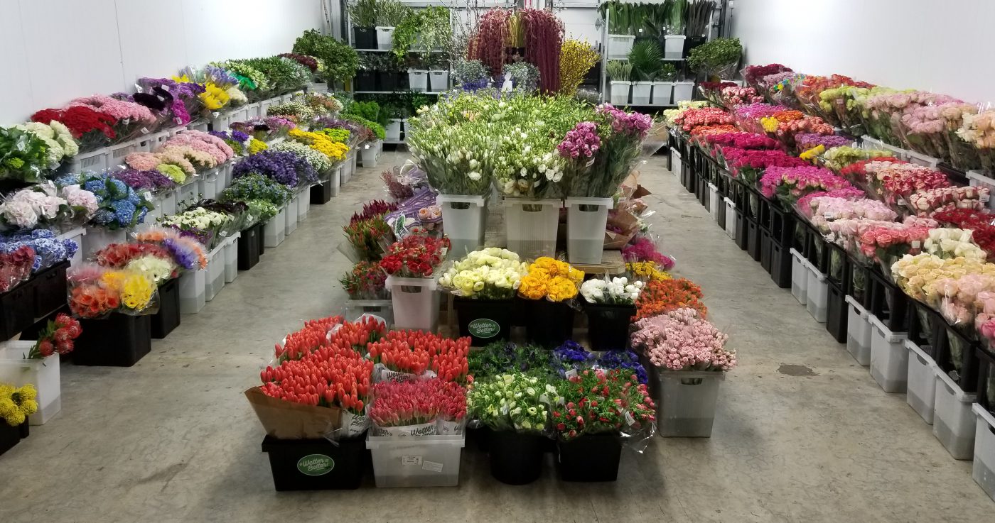 Jet Fresh Flower Distributors