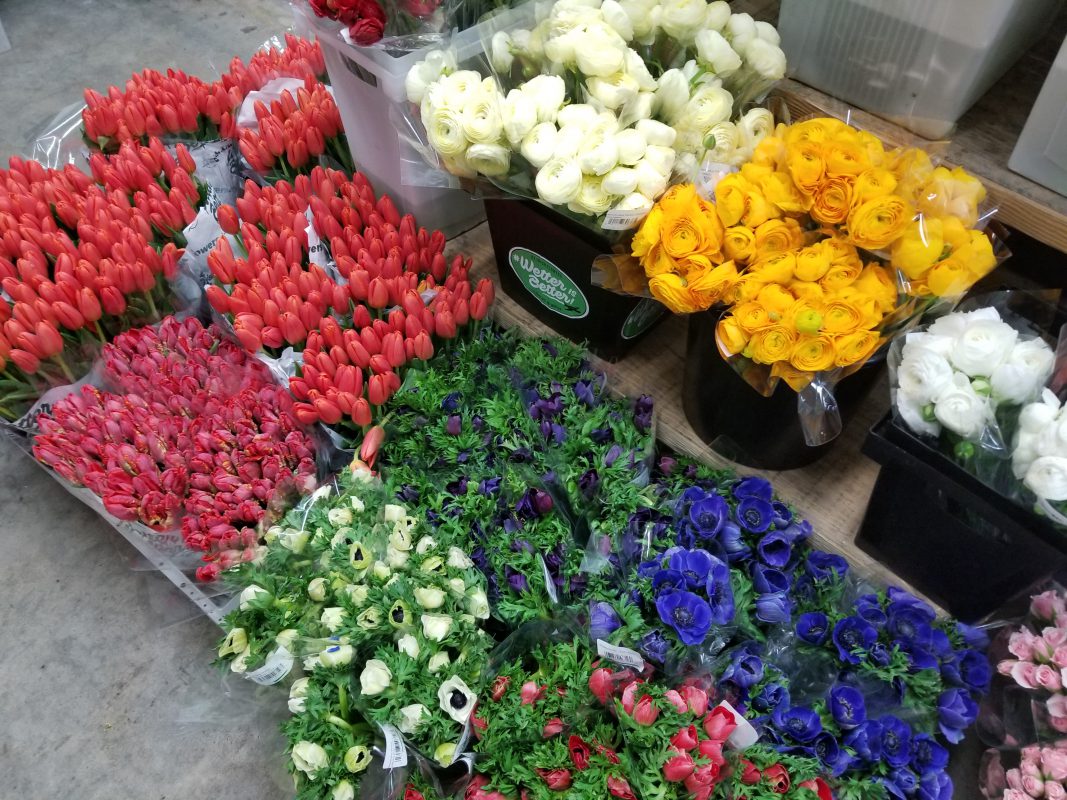 Jet Fresh Flower Distributors