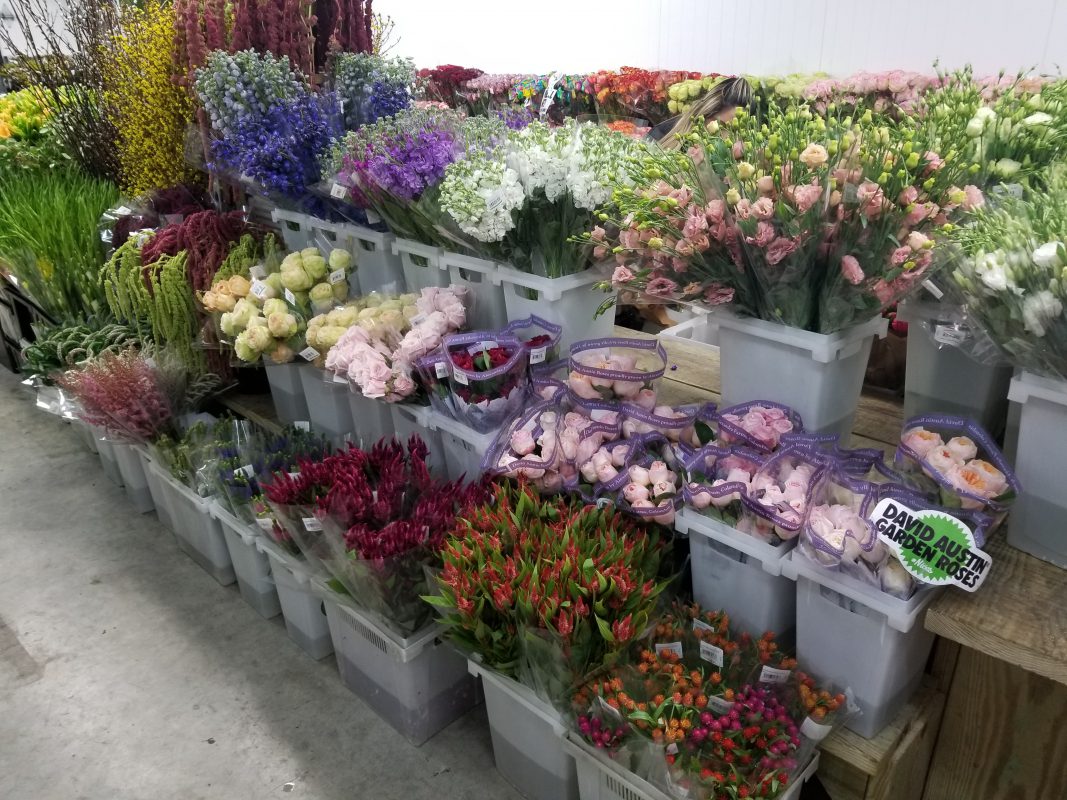 Jet Fresh Flower Distributors