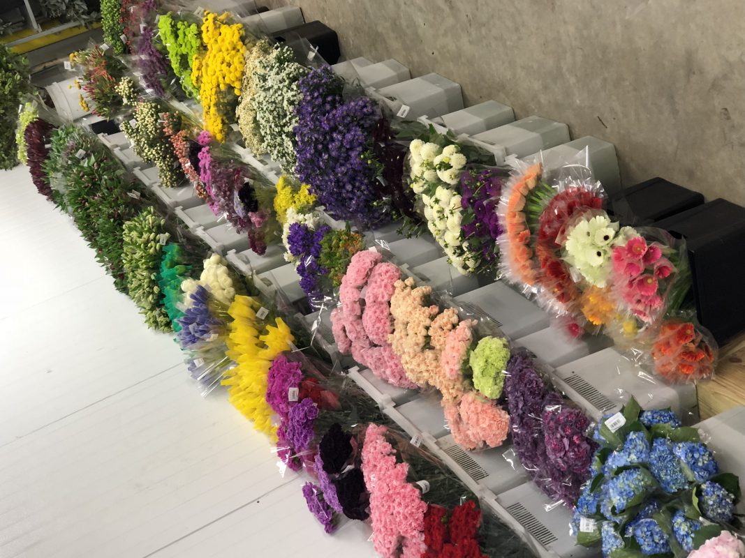 Jet Fresh Flower Distributors
