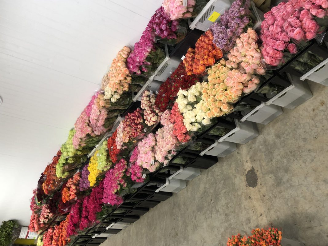 Jet Fresh Flower Distributors
