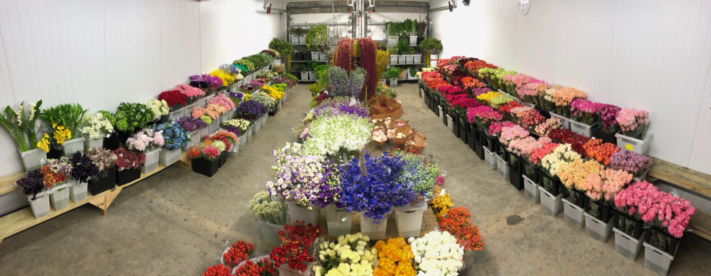 Jet Fresh Flower Distributors