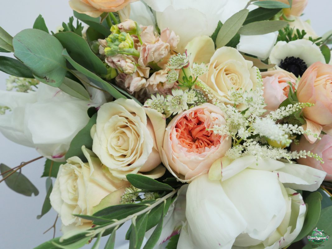 Jet Fresh Flower Distributors