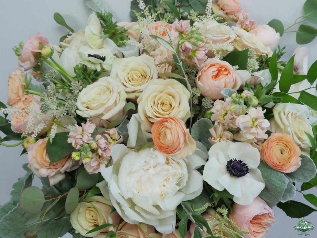 Jet Fresh Flower Distributors