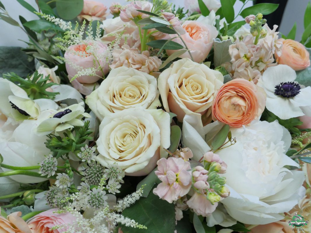 Jet Fresh Flower Distributors