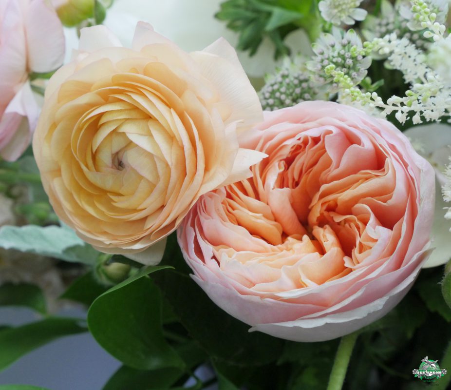 Jet Fresh Flower Distributors