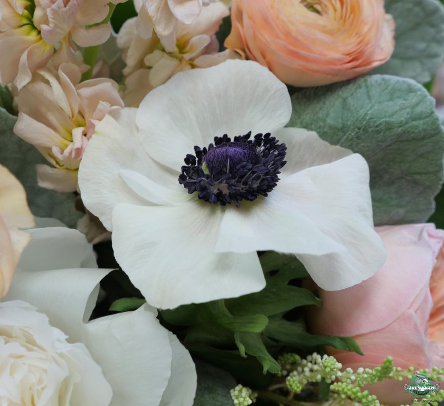 Jet Fresh Flower Distributors