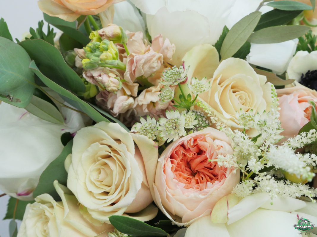 Jet Fresh Flower Distributors