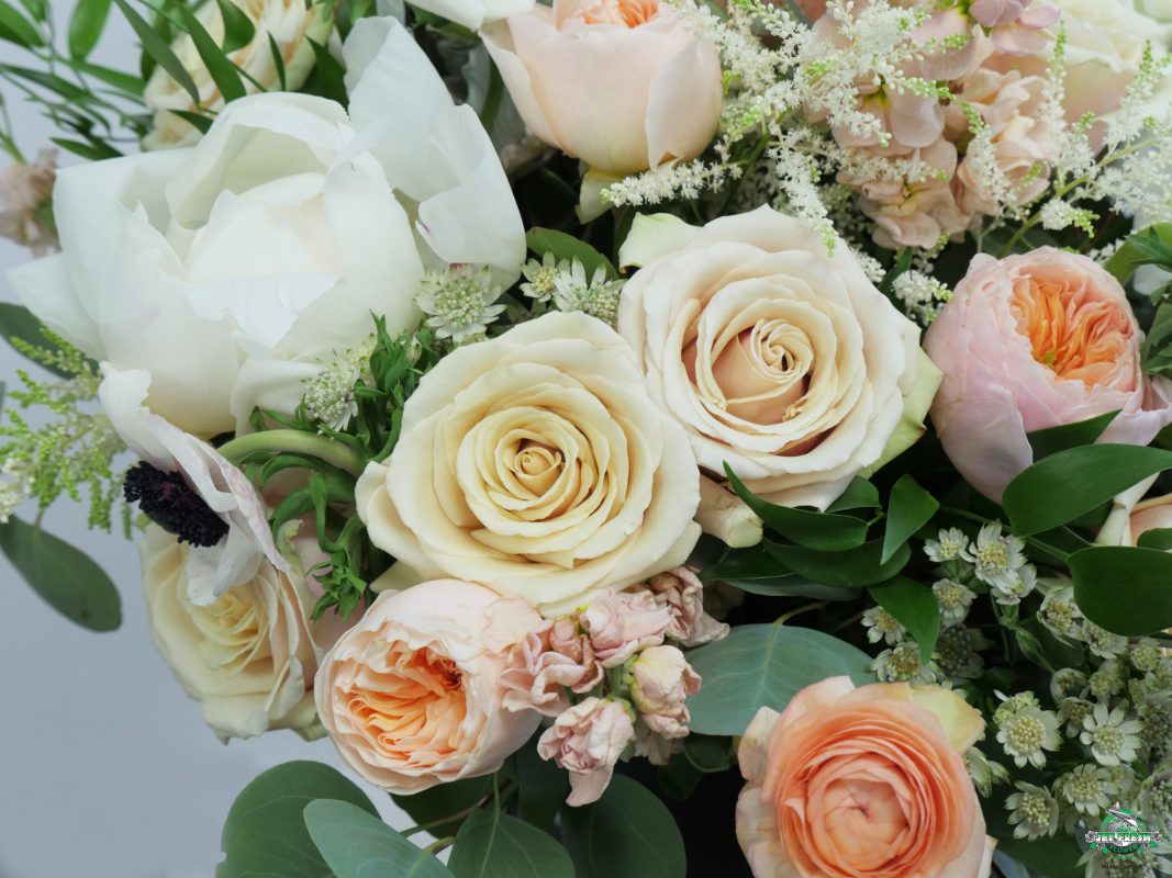 Jet Fresh Flower Distributors