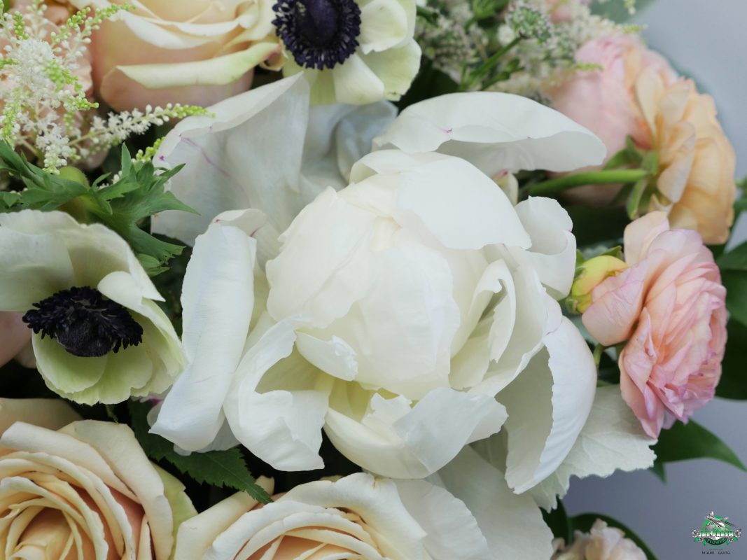 Jet Fresh Flower Distributors