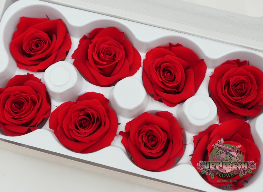 Jet Fresh Flower Distributors