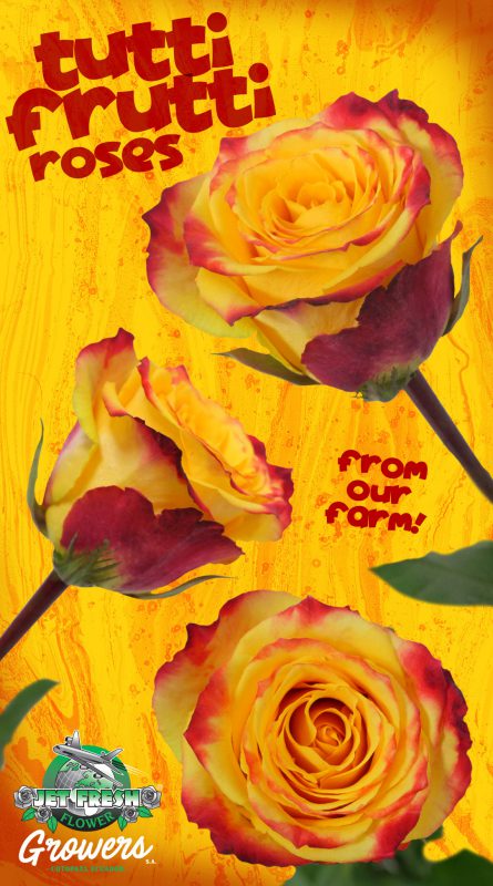 Jet Fresh Flower Distributors