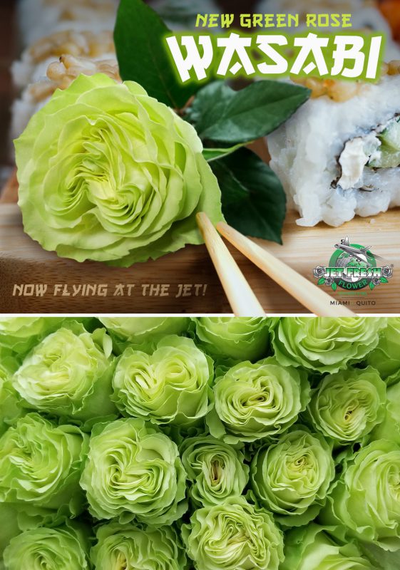 Jet Fresh Flower Distributors