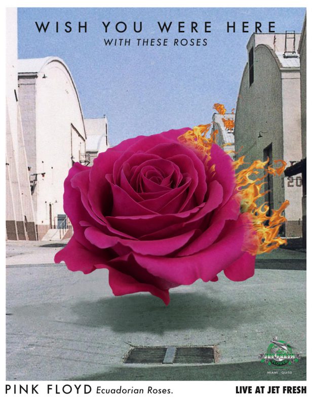 Jet Fresh Flower Distributors