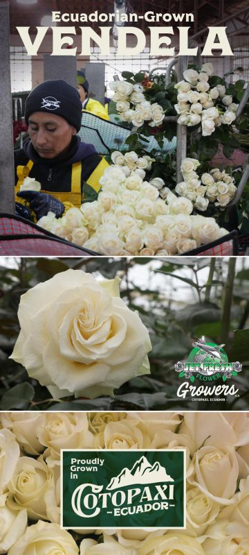 Jet Fresh Flower Distributors