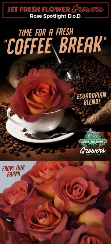 Jet Fresh Flower Distributors