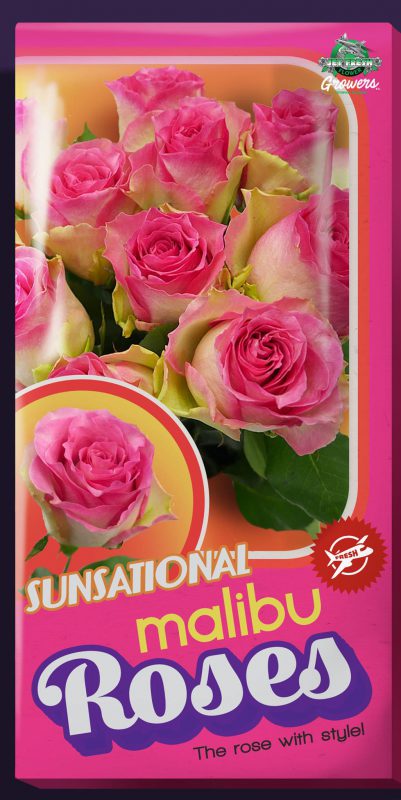 Jet Fresh Flower Distributors