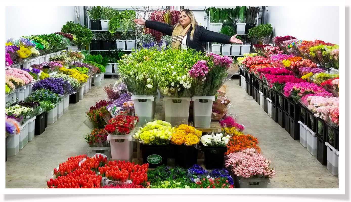 Jet Fresh Flower Distributors