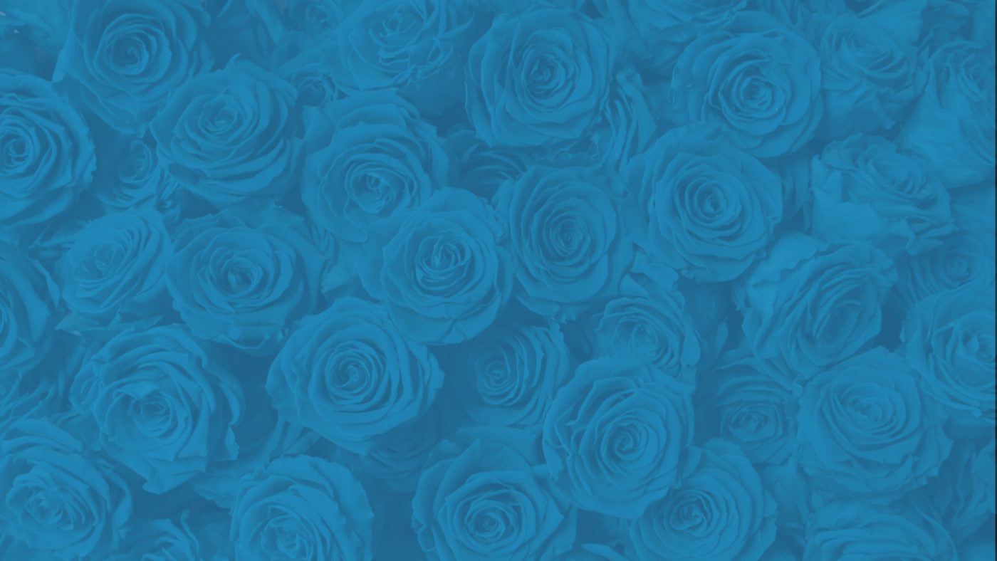 Jet Fresh Flower Distributors