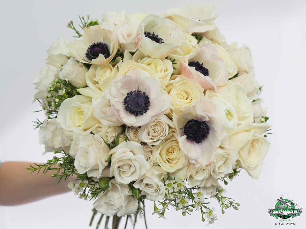 Jet Fresh Flower Distributors
