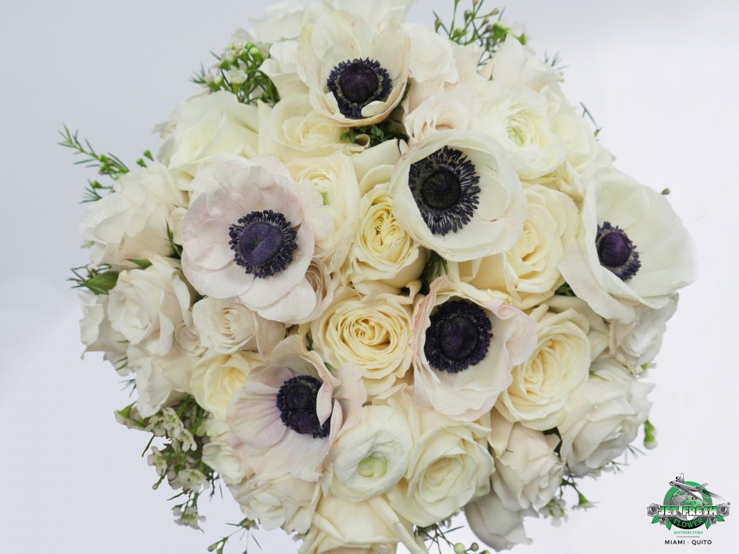 Jet Fresh Flower Distributors