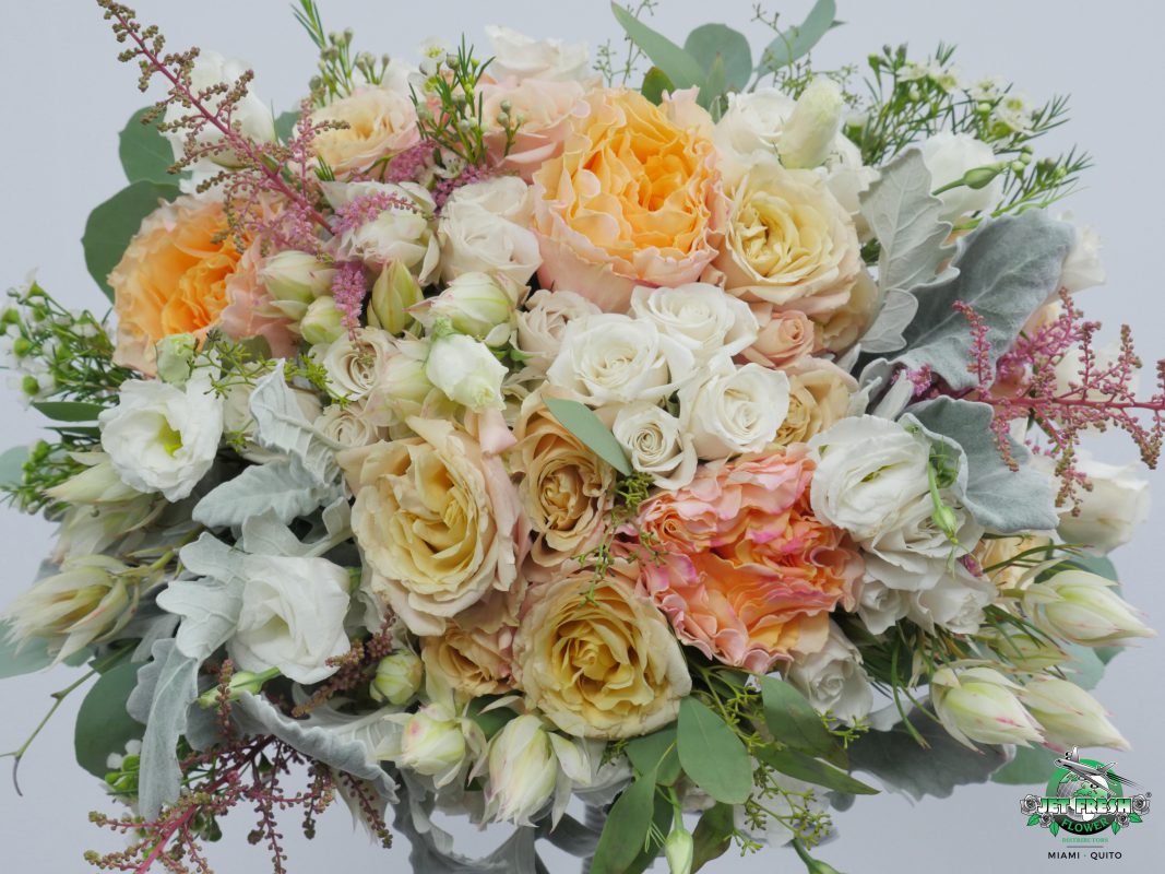 Jet Fresh Flower Distributors
