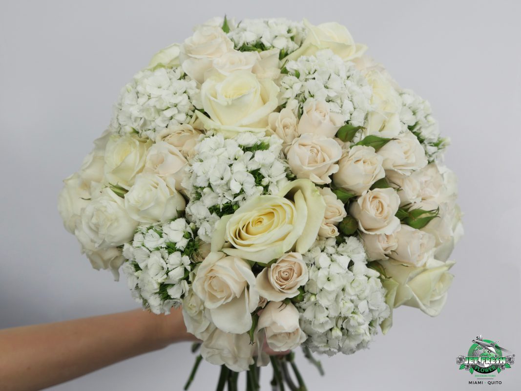 Jet Fresh Flower Distributors