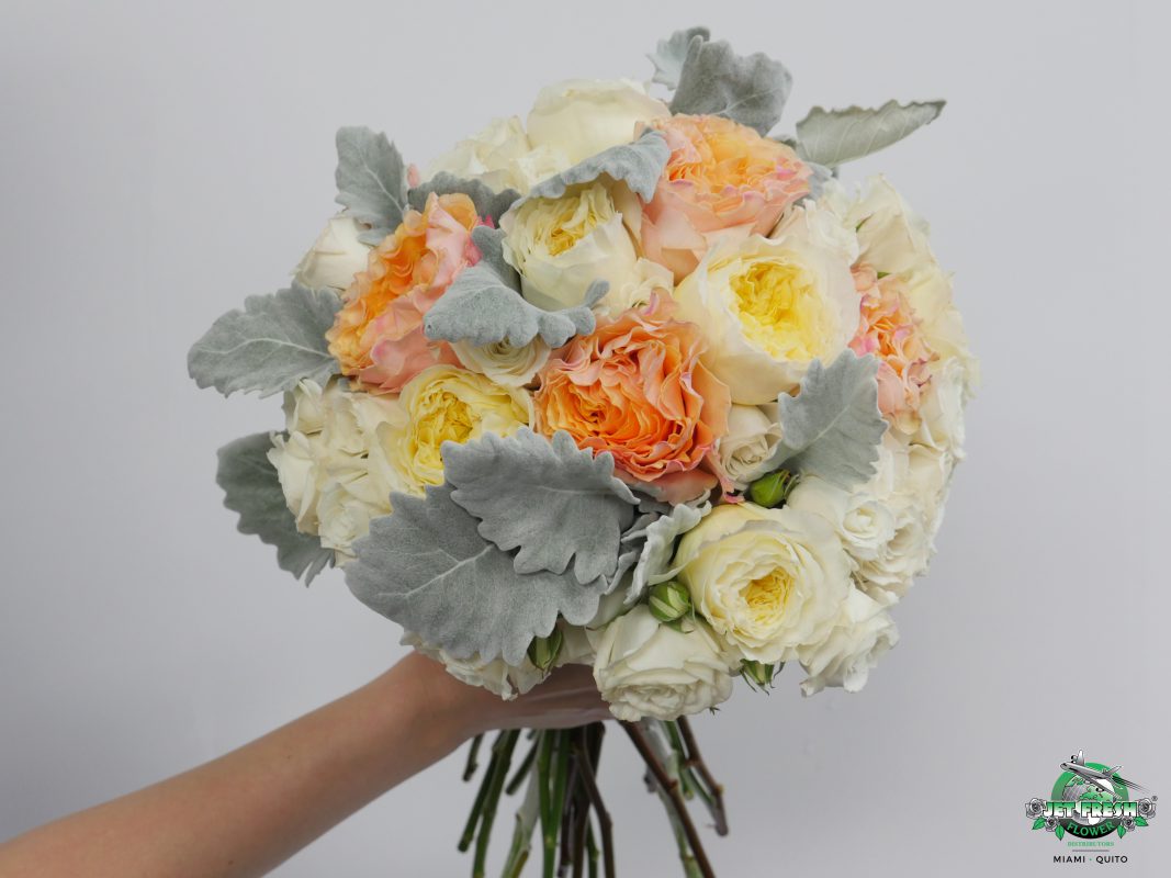 Jet Fresh Flower Distributors