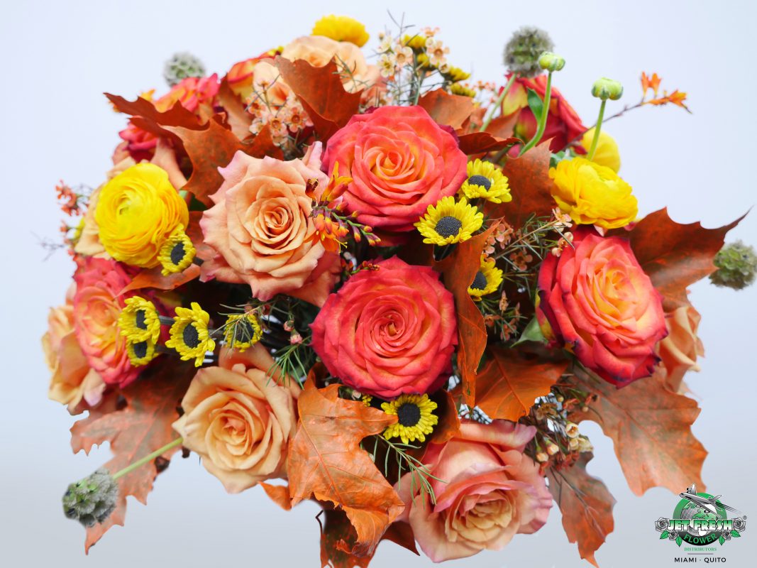 Jet Fresh Flower Distributors