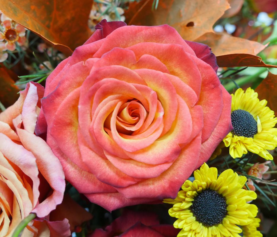 Jet Fresh Flower Distributors