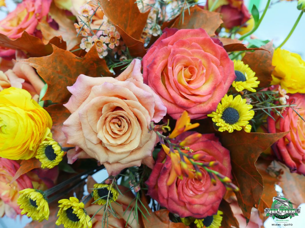 Jet Fresh Flower Distributors