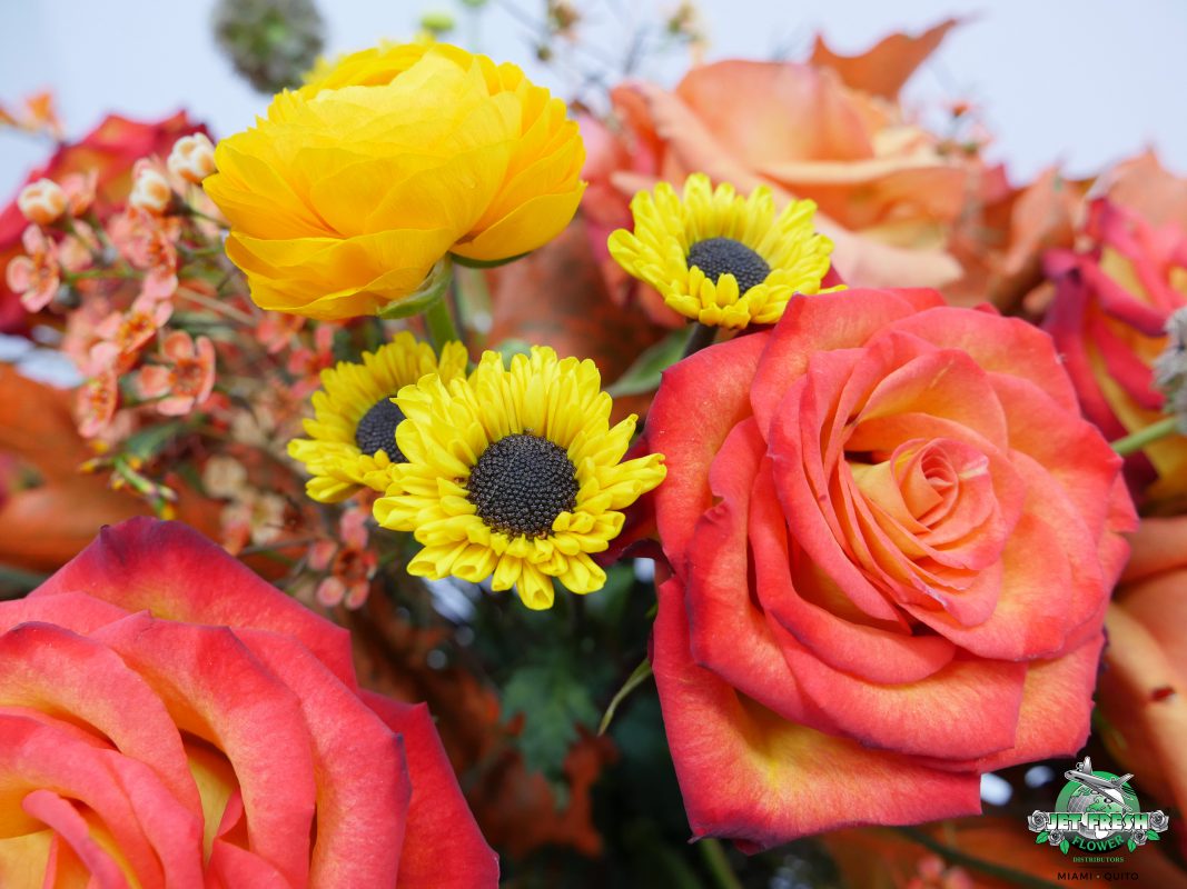Jet Fresh Flower Distributors