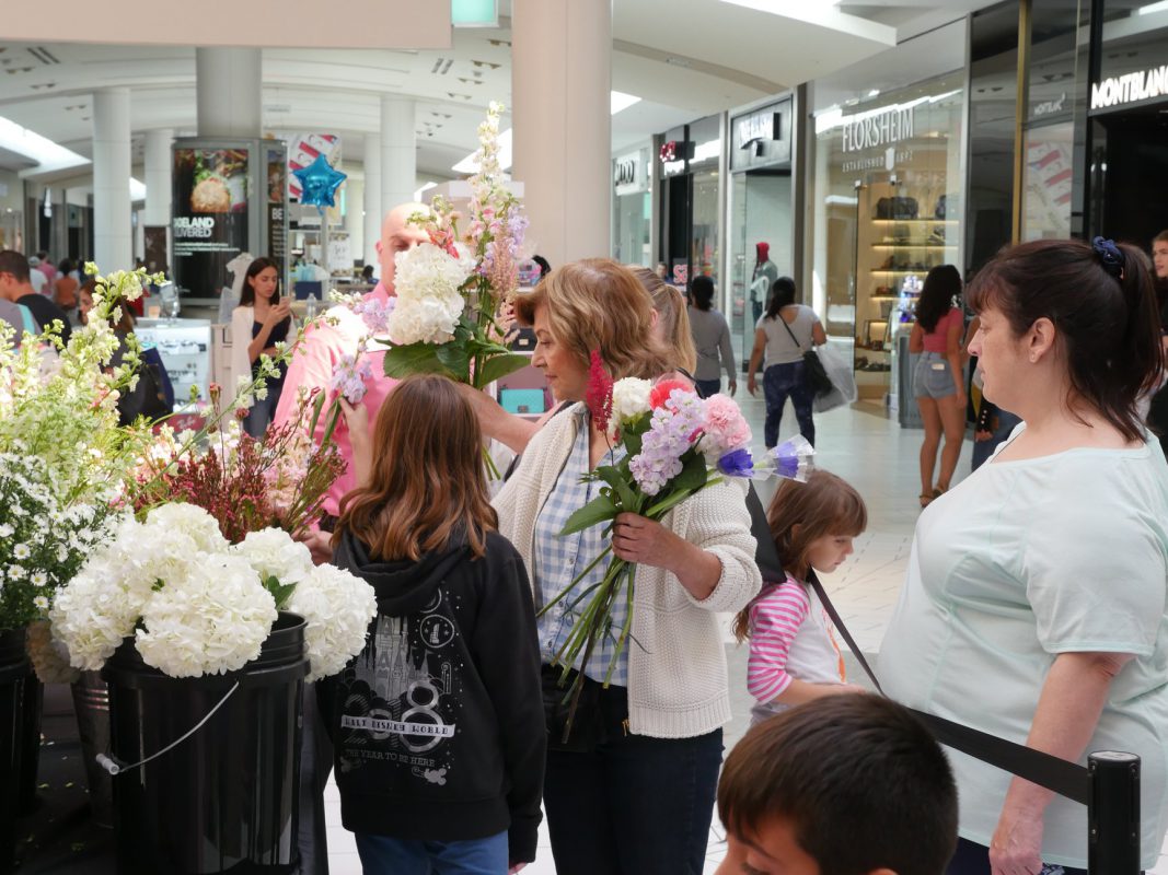 Jet Fresh Flower Distributors