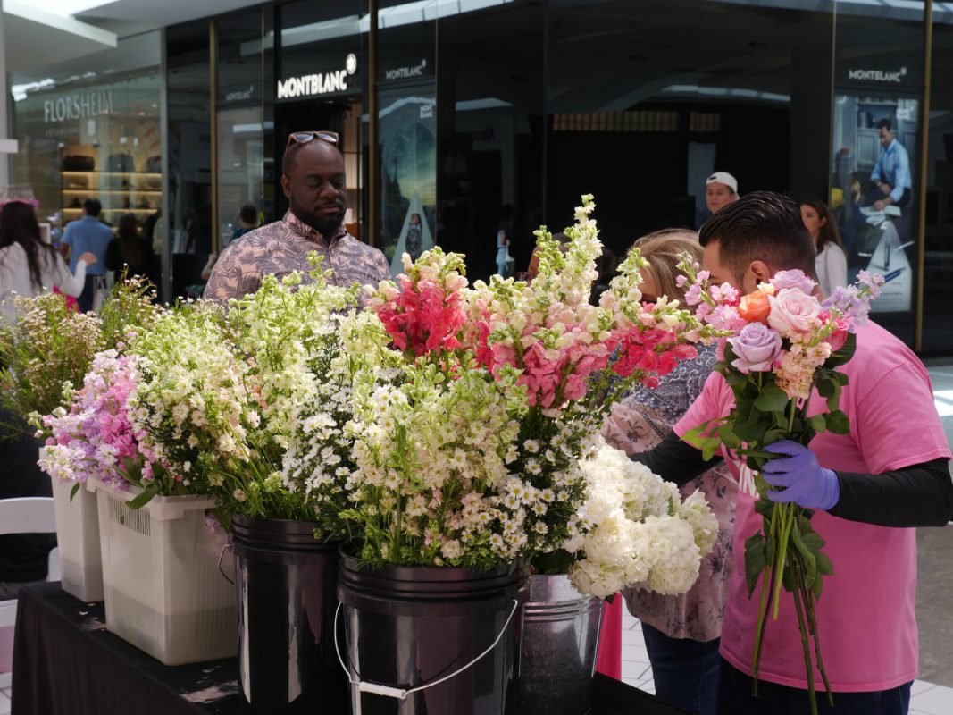 Jet Fresh Flower Distributors