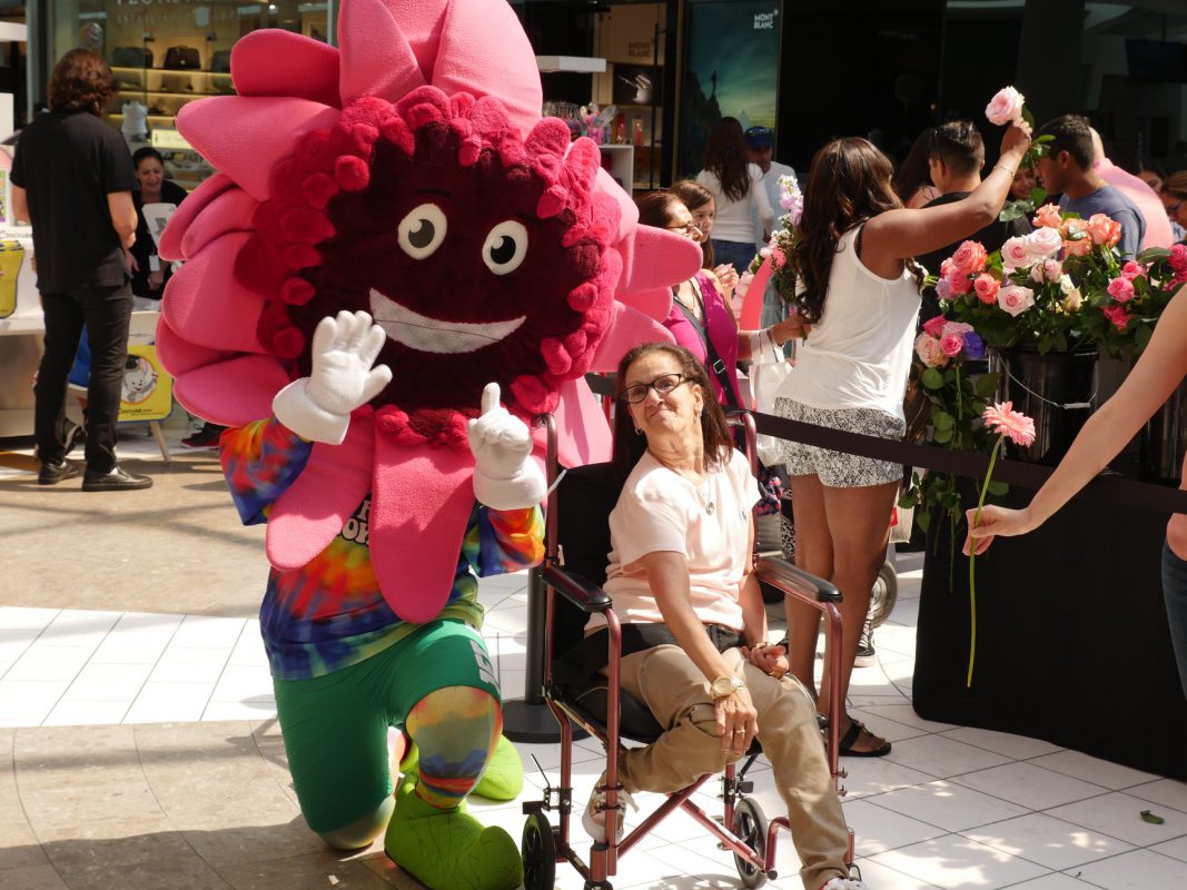 Jet Fresh Flower Distributors