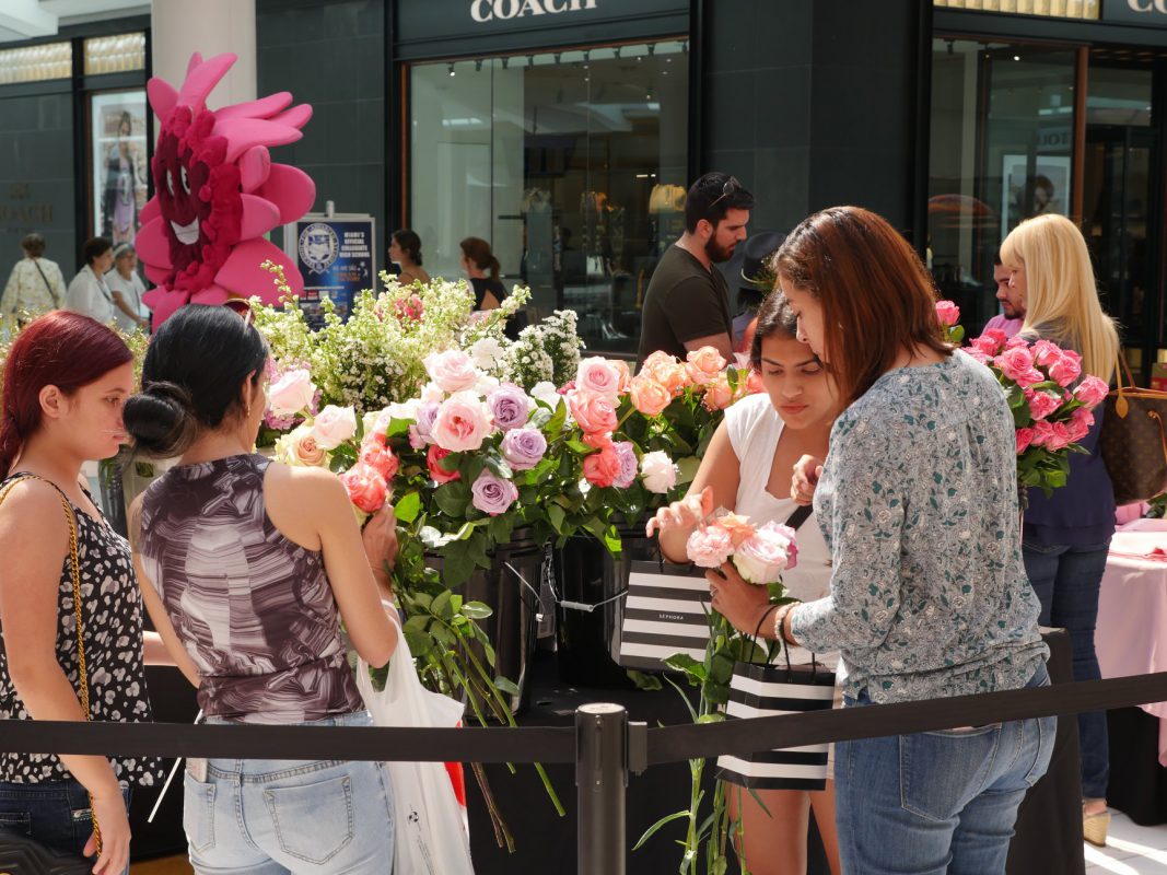 Jet Fresh Flower Distributors