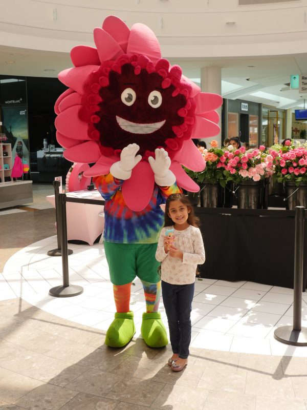 Jet Fresh Flower Distributors