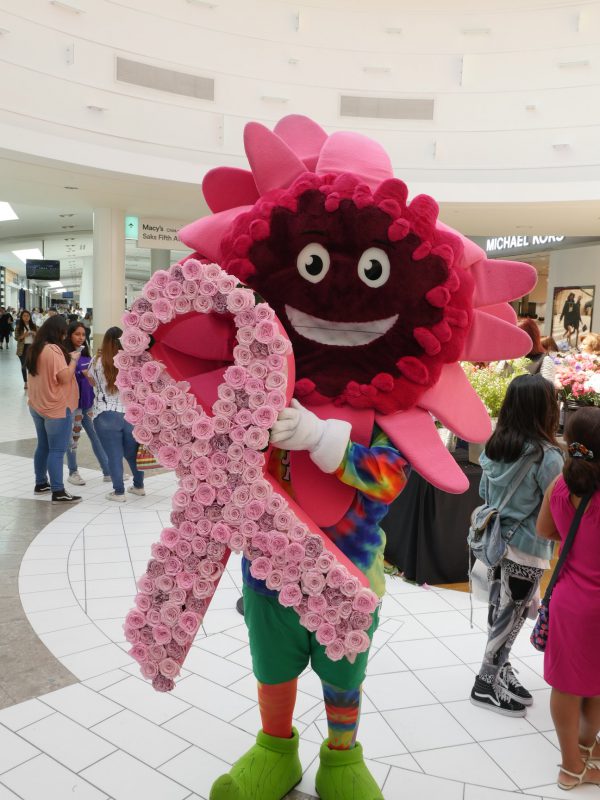 Jet Fresh Flower Distributors