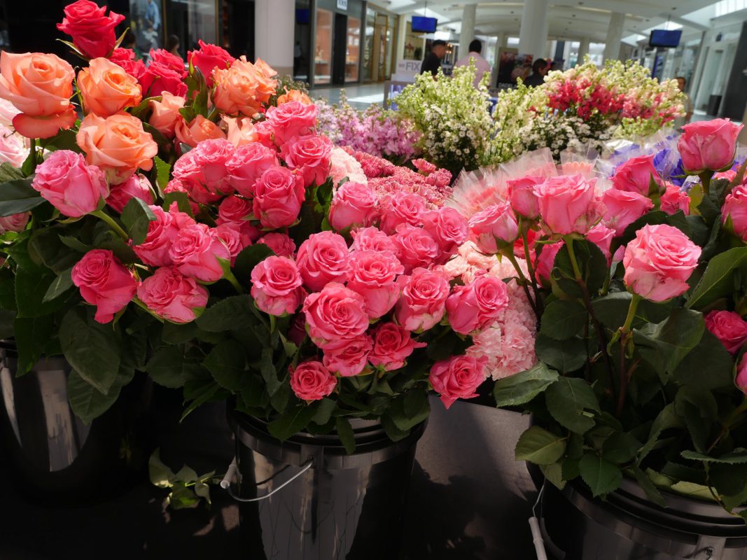 Jet Fresh Flower Distributors