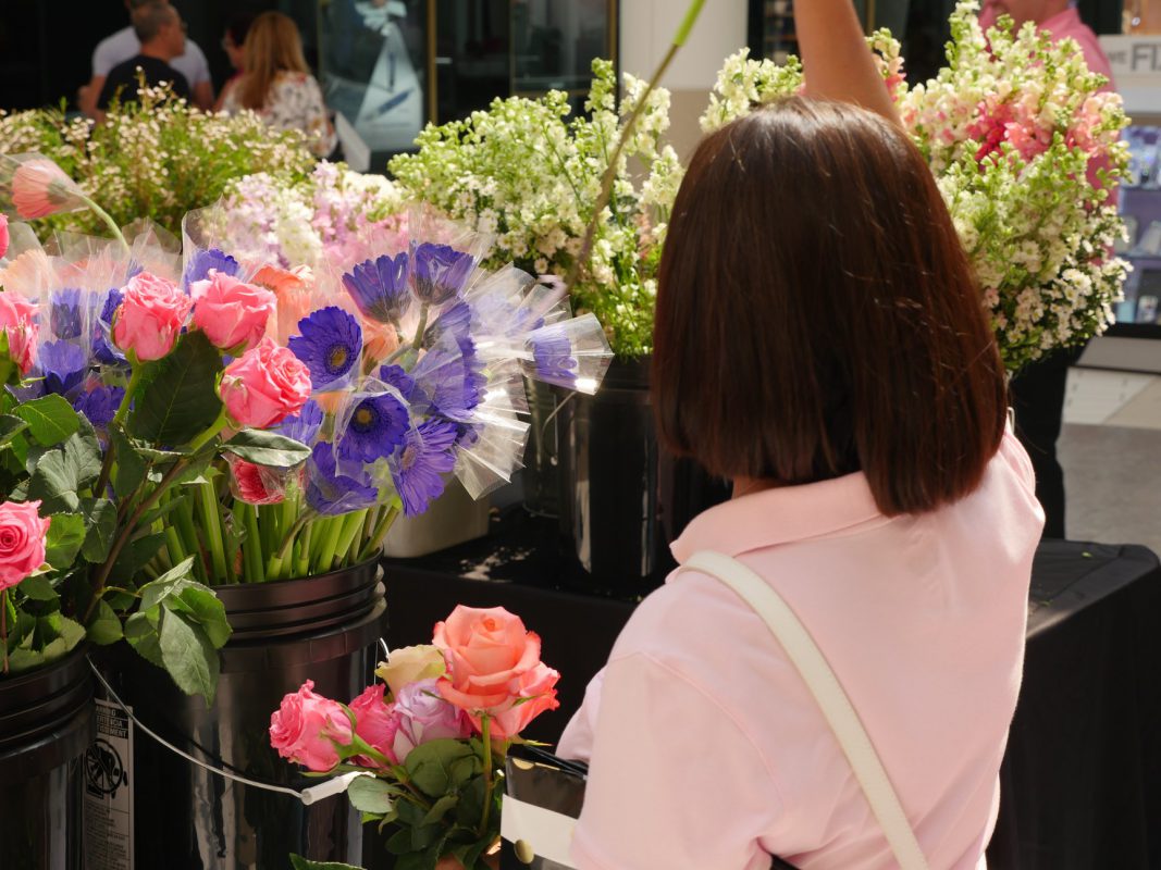 Jet Fresh Flower Distributors