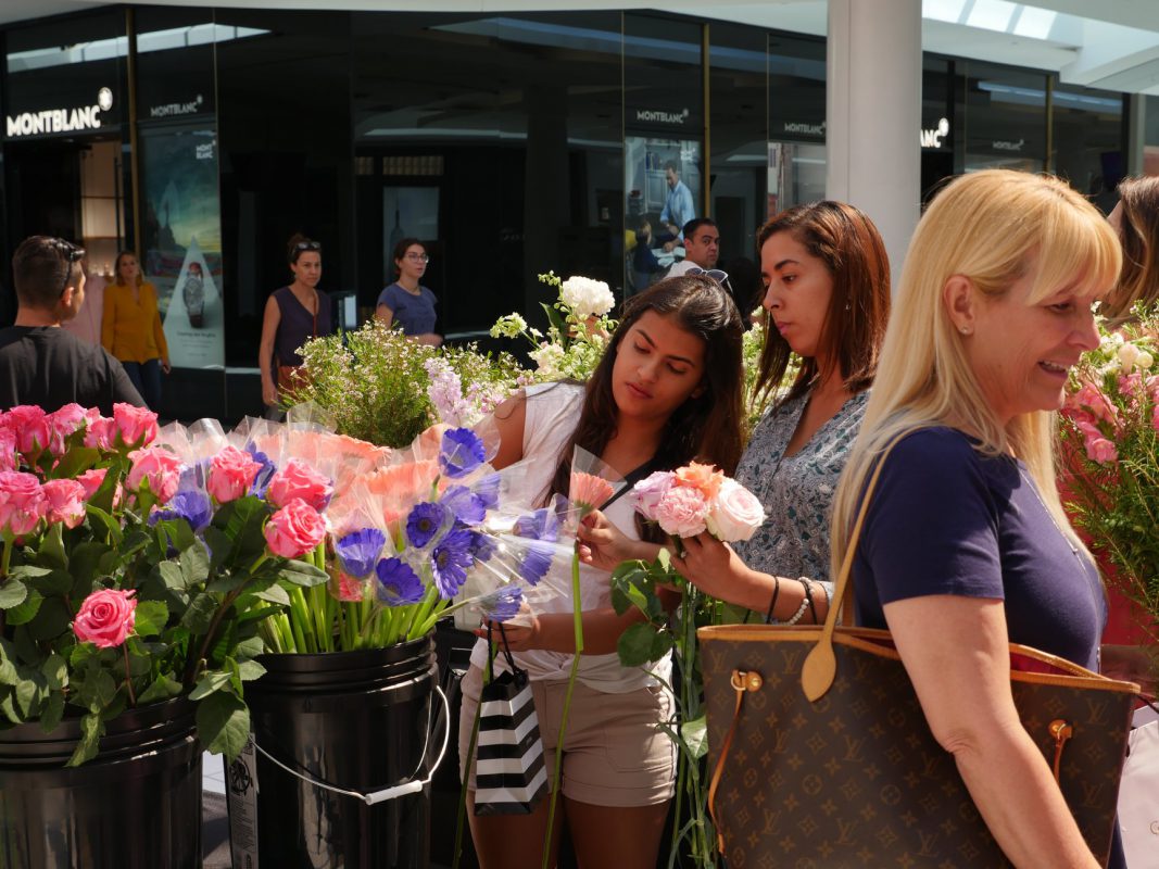 Jet Fresh Flower Distributors