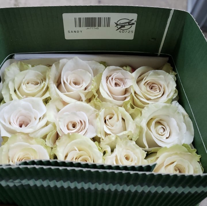 Jet Fresh Flower Distributors