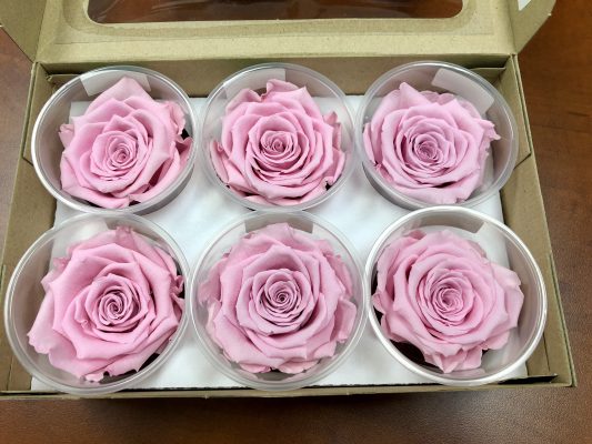 Jet Fresh Flower's DIY Preserved Rose Pink Ribbon for Breast Cancer