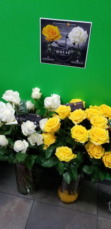 Jet Fresh Flower Distributors