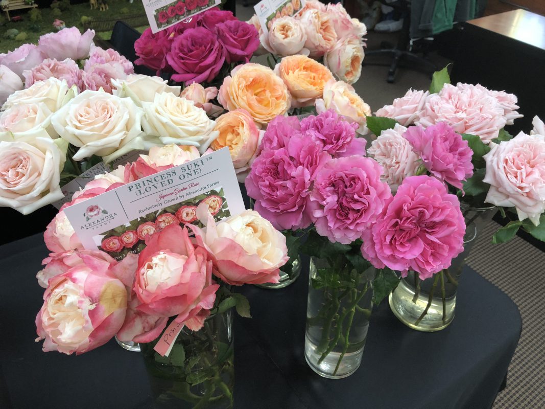 Jet Fresh Flower Distributors
