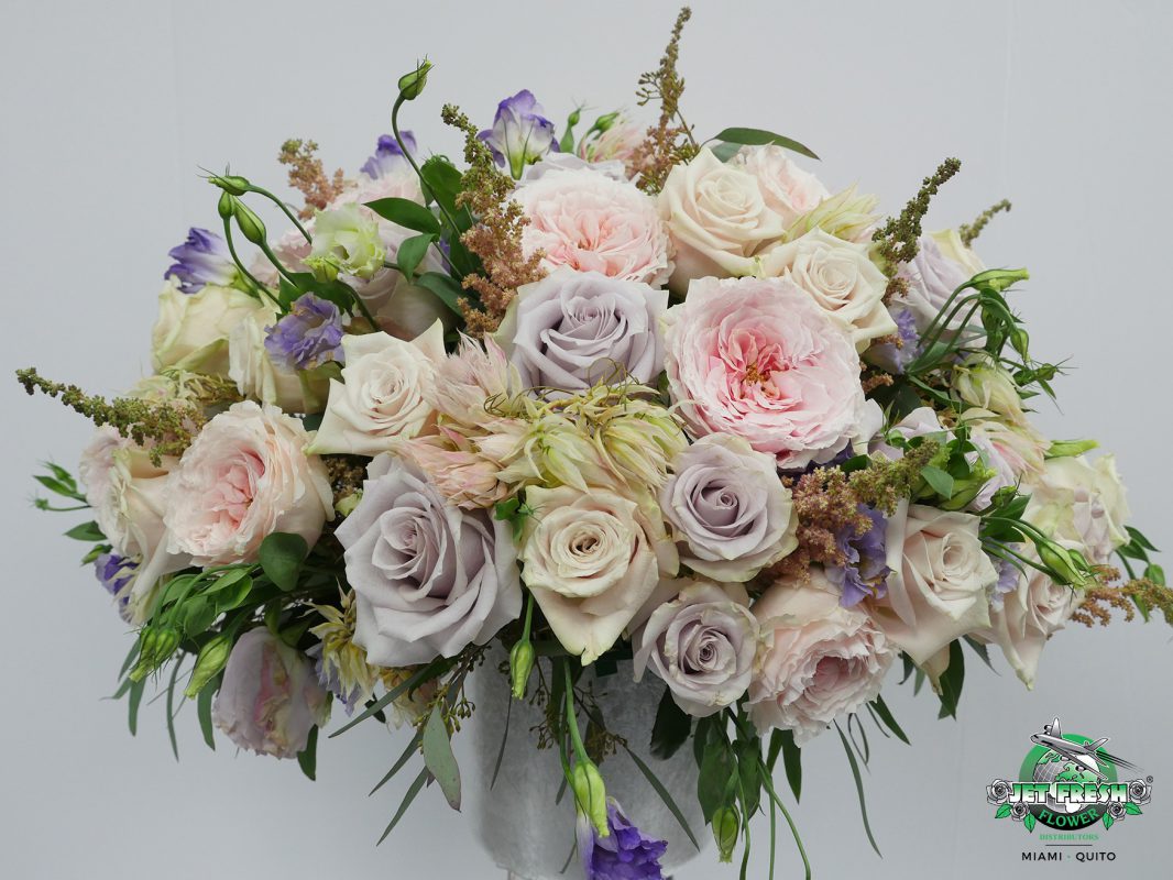 Jet Fresh Flower Distributors